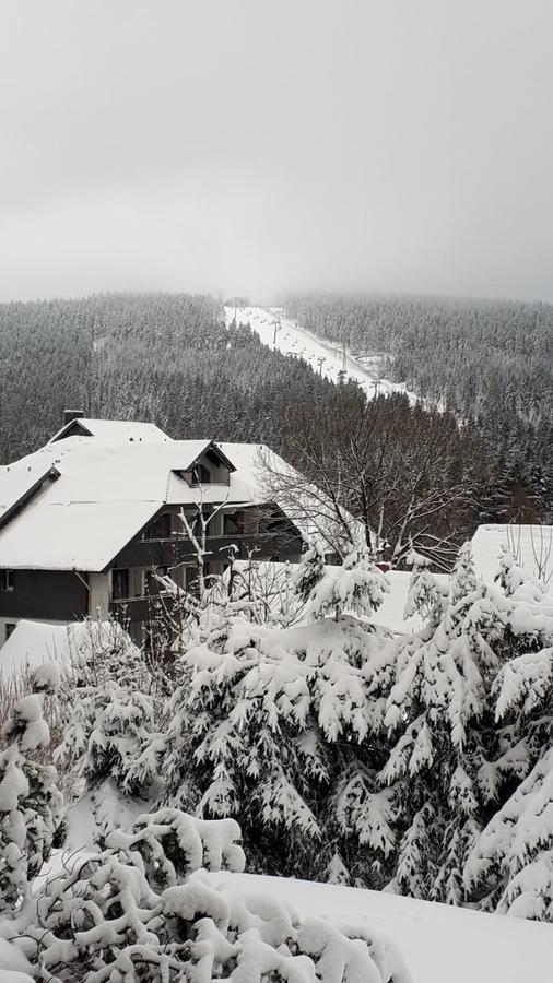 Ferienwohnung Steffens Hahnenklee Wohnung 25 Goslar Exterior foto